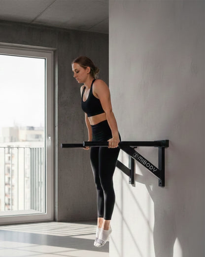 Wall Mounted Bundle: Pull-Up Bar + Dip Bar